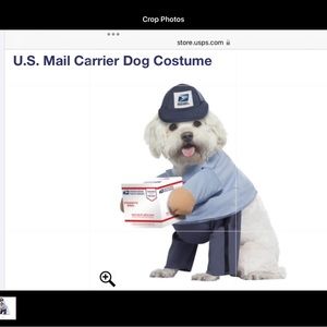 Official Licensed US Mail Carrier Pup Halloween costume